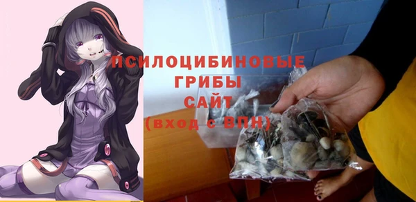 шишки Михайлов