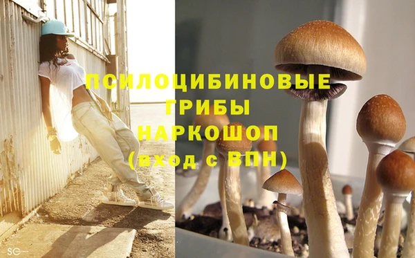 дмт Михайловка