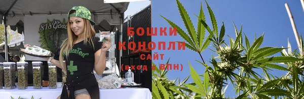 шишки Михайлов