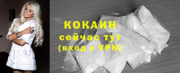 шишки Михайлов